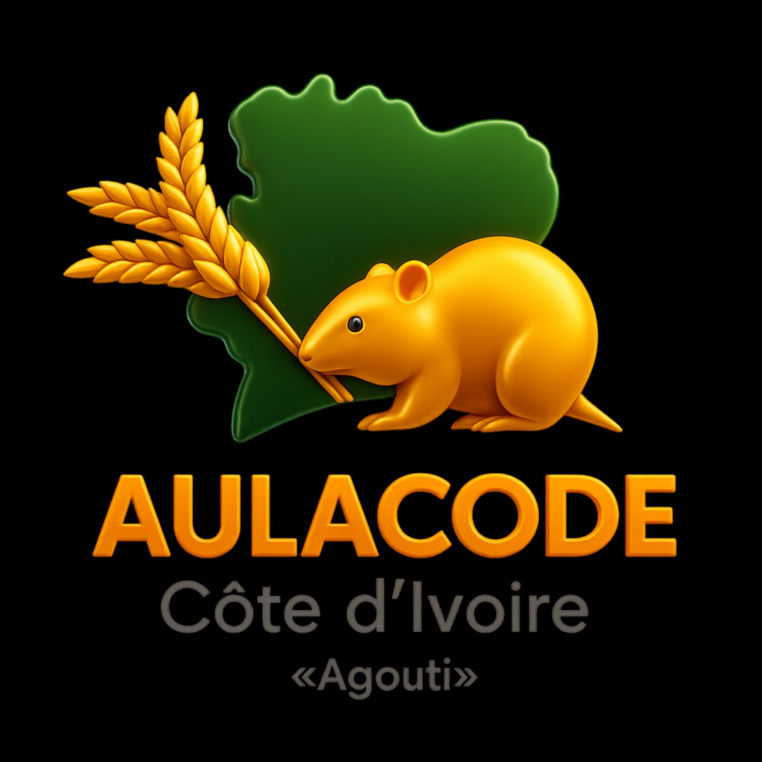 Logo AULACODE Côte d’Ivoire